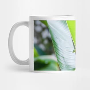 Small green gecko poking head over edge of tropical leaf with body silhouetted through leaf. Mug